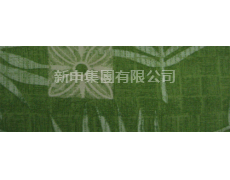 粘亞麻染色布 粘亞麻印花布 點擊查看大圖