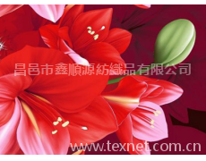 3A-219 點擊查看大圖