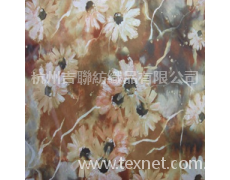 超細旦面料 點擊查看大圖