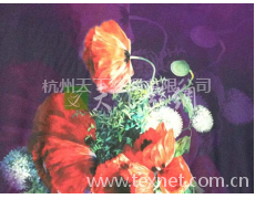 真絲彈力緞噴繪 點擊查看大圖