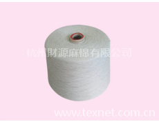滌麻紗 點擊查看大圖