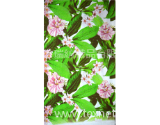 數(shù)碼印花面料 點(diǎn)擊查看大圖