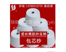 氨綸包芯紗 點(diǎn)擊查看大圖