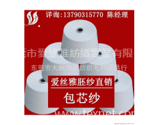 氨綸包芯紗 點擊查看大圖