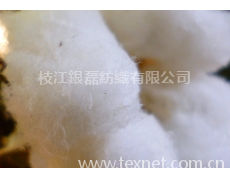 新疆棉 點擊查看大圖