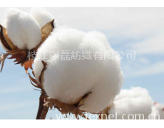 新疆棉 點(diǎn)擊查看大圖