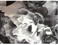 人棉氨綸印花布 點(diǎn)擊查看大圖