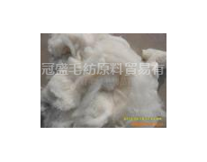 被服毛 點擊查看大圖