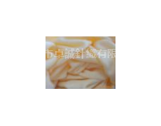 萊雪兒蓋人造絲汗布 點擊查看大圖