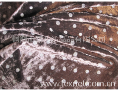絲絨印花 點擊查看大圖