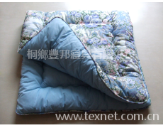 床墊 點擊查看大圖