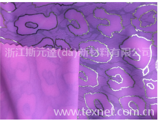 氨綸印花 點(diǎn)擊查看大圖