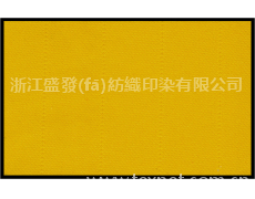 阻燃抗靜電布 點擊查看大圖