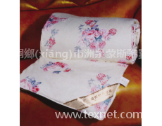 特級(jí)蠶絲被 點(diǎn)擊查看大圖