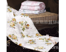 生態蠶絲被 點擊查看大圖