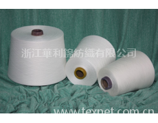 滌粘紗 點擊查看大圖