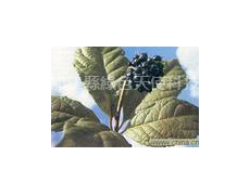 植物染料 點擊查看大圖