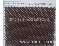 J26210A 经编网布 点击查看大图