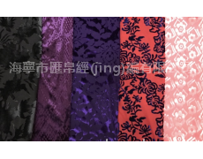 絲絨面料 點擊查看大圖