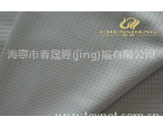 DTY彈絲網(wǎng)布 點擊查看大圖