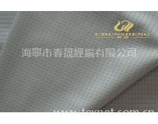 彈絲網布  點擊查看大圖