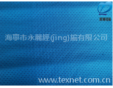 網(wǎng)眼布 點(diǎn)擊查看大圖