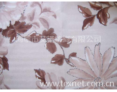 印花面料 點擊查看大圖