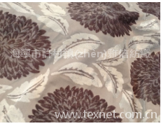 提花絨布 點擊查看大圖