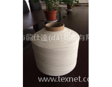 雙包氨綸紗 點(diǎn)擊查看大圖