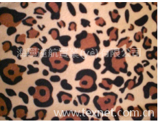 普通短毛絨 點擊查看大圖