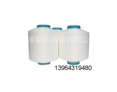 140/70*2氨錦包覆紗 點擊查看大圖