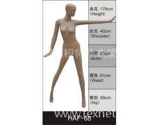 女装展示模特 点击查看大图