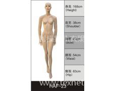 女装展示模特 点击查看大图