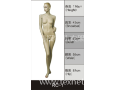 女装展示模特 点击查看大图