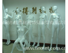模特 點擊查看大圖