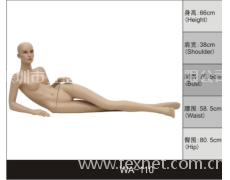 女裝展示模特 點擊查看大圖