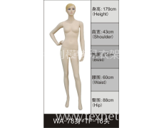 女裝展示模特 點擊查看大圖