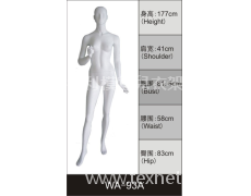 女裝展示模特 點擊查看大圖