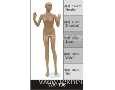 女裝展示模特 點擊查看大圖