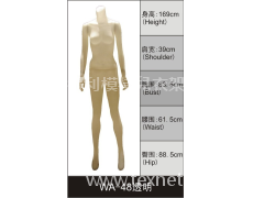 女裝展示模特 點(diǎn)擊查看大圖