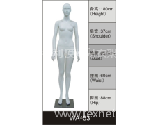 女裝展示模特 點擊查看大圖