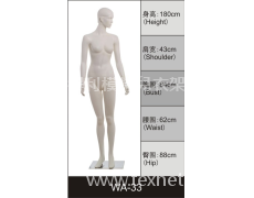 女裝展示模特 點擊查看大圖