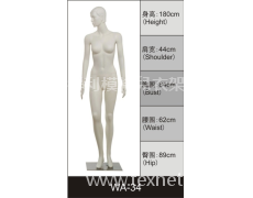 女裝展示模特 點擊查看大圖