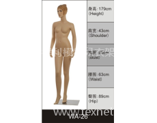 女裝展示模特 點(diǎn)擊查看大圖