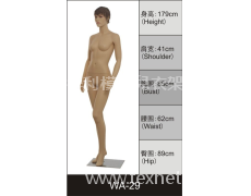 女裝展示模特 點擊查看大圖