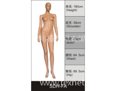 女裝展示模特 點擊查看大圖