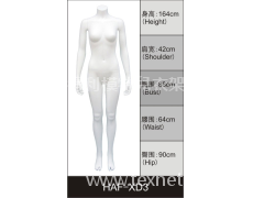女裝展示模特 點擊查看大圖