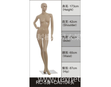 女裝展示模特 點擊查看大圖