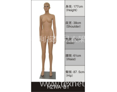女裝展示模特 點擊查看大圖