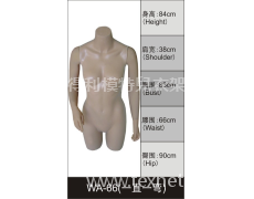 女半身展示模特 點擊查看大圖